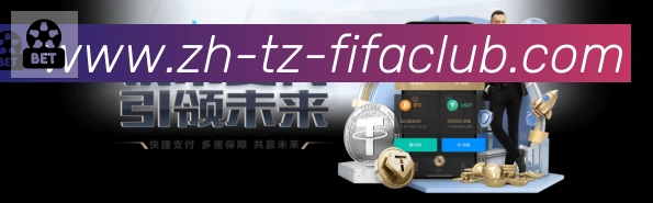 未来规划